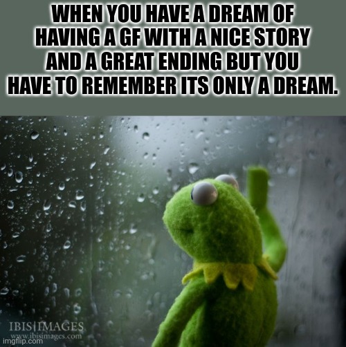 A "great" way to start my day... | WHEN YOU HAVE A DREAM OF HAVING A GF WITH A NICE STORY AND A GREAT ENDING BUT YOU HAVE TO REMEMBER ITS ONLY A DREAM. | image tagged in kermit window,memes,funny,relatable,dream,forever alone | made w/ Imgflip meme maker