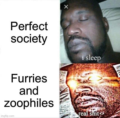 Sleeping Shaq | Perfect society; Furries and zoophiles | image tagged in memes,sleeping shaq | made w/ Imgflip meme maker