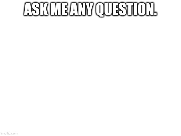 Any one | ASK ME ANY QUESTION. | image tagged in memes | made w/ Imgflip meme maker