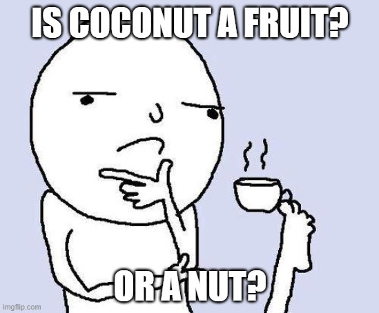 Wait... | IS COCONUT A FRUIT? OR A NUT? | image tagged in thinking meme | made w/ Imgflip meme maker