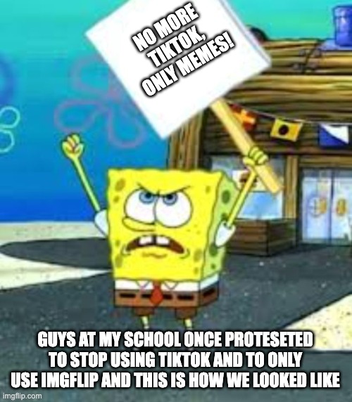 True protest we once had | NO MORE TIKTOK, ONLY MEMES! GUYS AT MY SCHOOL ONCE PROTESETED TO STOP USING TIKTOK AND TO ONLY USE IMGFLIP AND THIS IS HOW WE LOOKED LIKE | image tagged in spongebob protesting blank sign | made w/ Imgflip meme maker