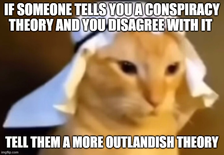 haram cat | IF SOMEONE TELLS YOU A CONSPIRACY THEORY AND YOU DISAGREE WITH IT; TELL THEM A MORE OUTLANDISH THEORY | image tagged in haram cat | made w/ Imgflip meme maker