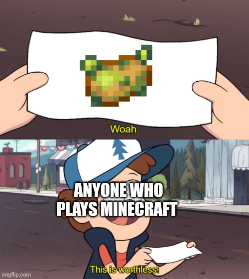 This is Worthless | ANYONE WHO PLAYS MINECRAFT | image tagged in this is worthless | made w/ Imgflip meme maker