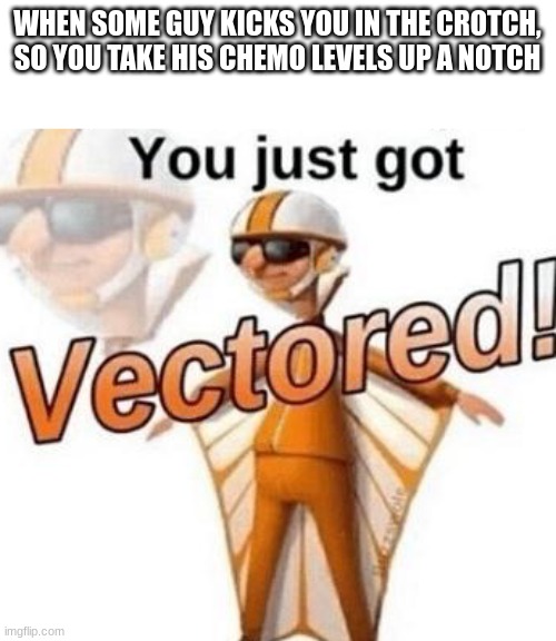 You just got vectored | WHEN SOME GUY KICKS YOU IN THE CROTCH,
SO YOU TAKE HIS CHEMO LEVELS UP A NOTCH | image tagged in you just got vectored | made w/ Imgflip meme maker