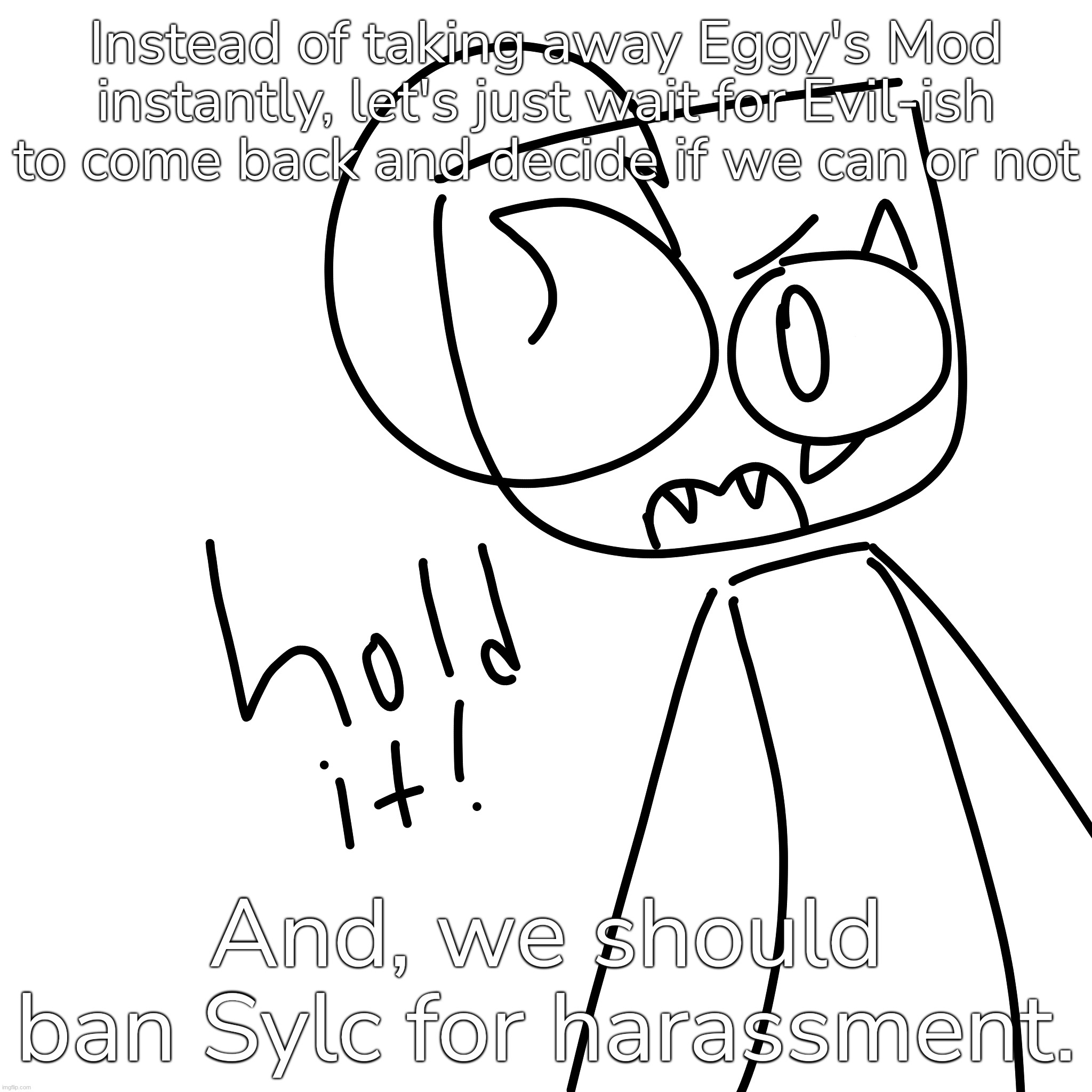 Instead of taking away Eggy's Mod instantly, let's just wait for Evil-ish to come back and decide if we can or not; And, we should ban Sylc for harassment. | made w/ Imgflip meme maker