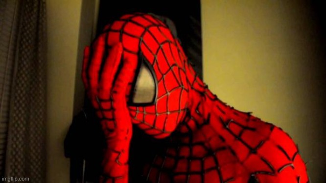 spiderman facepalm | image tagged in spiderman facepalm | made w/ Imgflip meme maker