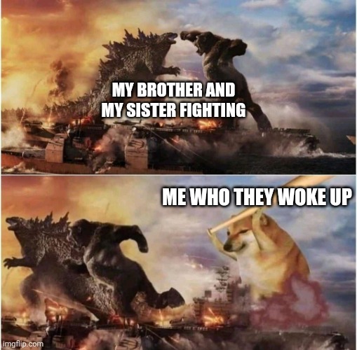 Kong Godzilla Doge | MY BROTHER AND MY SISTER FIGHTING; ME WHO THEY WOKE UP | image tagged in kong godzilla doge | made w/ Imgflip meme maker