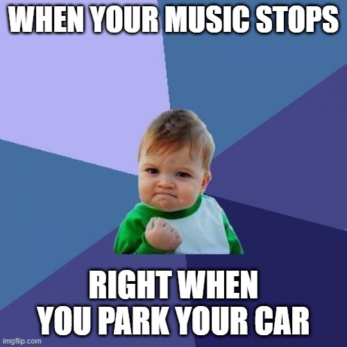 The best when this happens | WHEN YOUR MUSIC STOPS; RIGHT WHEN YOU PARK YOUR CAR | image tagged in memes,success kid | made w/ Imgflip meme maker