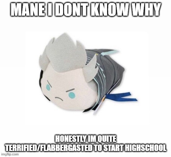 maybe its cause i have high functioning axniety, idk | MANE I DONT KNOW WHY; HONESTLY IM QUITE TERRIFIED/FLABBERGASTED TO START HIGHSCHOOL | image tagged in vergil plush | made w/ Imgflip meme maker