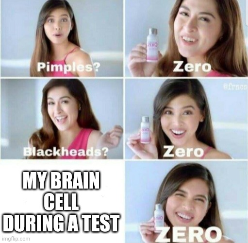 Pimples, Zero! | MY BRAIN CELL DURING A TEST | image tagged in pimples zero | made w/ Imgflip meme maker