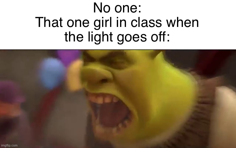 This happened a lot at my school | No one:
That one girl in class when the light goes off: | image tagged in shrek screaming,dank memes,memes,funny memes | made w/ Imgflip meme maker