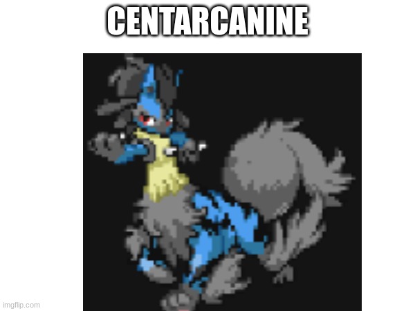 HAHAHAHAHA? plz? | CENTARCANINE | image tagged in funny meme | made w/ Imgflip meme maker