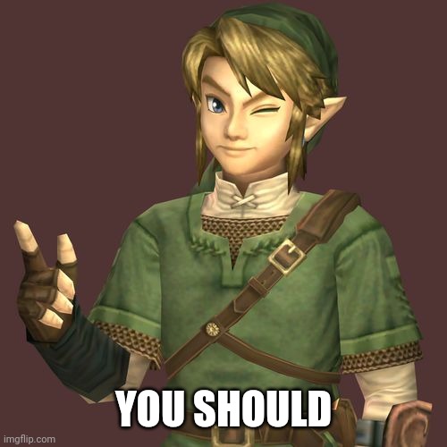 Zelda | YOU SHOULD | image tagged in zelda | made w/ Imgflip meme maker