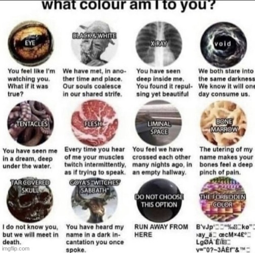 what the shit | made w/ Imgflip meme maker