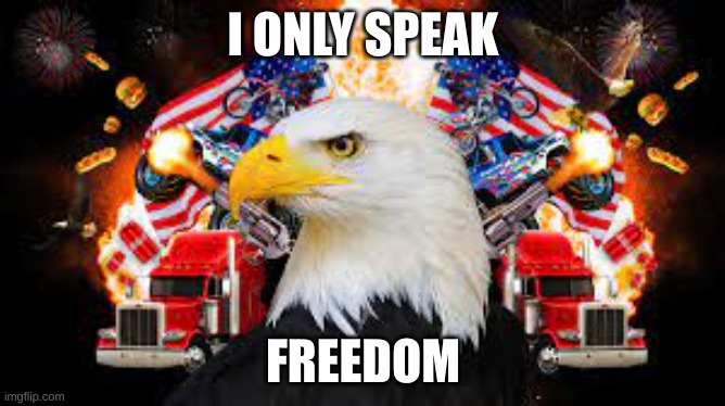 murica | I ONLY SPEAK; FREEDOM | image tagged in murica | made w/ Imgflip meme maker