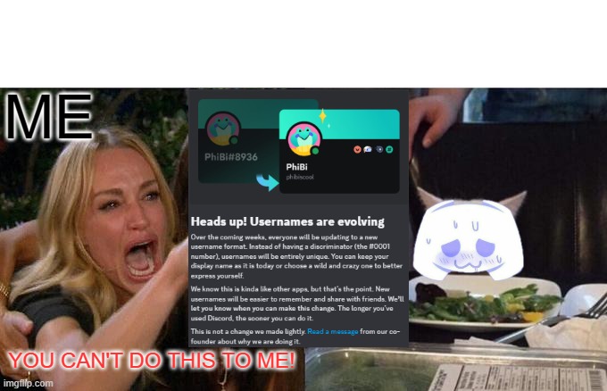 DISCORD CAN'T DO THIS TO ME! | ME; YOU CAN'T DO THIS TO ME! | image tagged in memes,woman yelling at cat,discord,usernames,cringe,betrayal | made w/ Imgflip meme maker