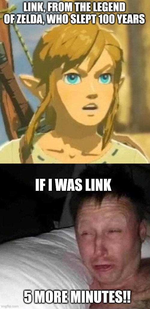 If i was link | LINK, FROM THE LEGEND OF ZELDA, WHO SLEPT 100 YEARS; IF I WAS LINK; 5 MORE MINUTES!! | image tagged in offended link,sleepy guy,link,sleeping,lol,why are you reading the tags | made w/ Imgflip meme maker