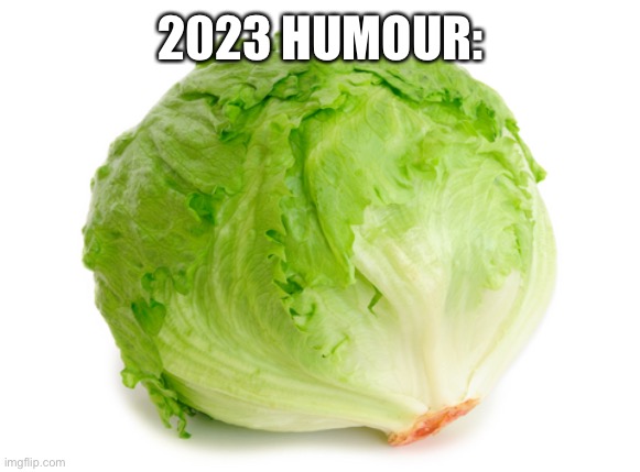 Lettuce  | 2023 HUMOUR: | image tagged in lettuce | made w/ Imgflip meme maker