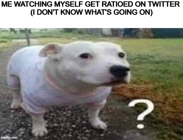 Dog question mark | ME WATCHING MYSELF GET RATIOED ON TWITTER 
(I DON'T KNOW WHAT'S GOING ON) | image tagged in dog question mark | made w/ Imgflip meme maker