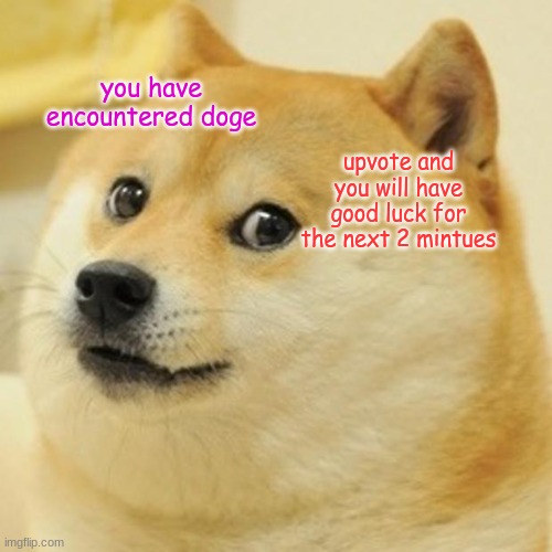 if this gets to front page, i will ask my crush out | you have encountered doge; upvote and you will have good luck for the next 2 mintues | image tagged in memes,doge | made w/ Imgflip meme maker