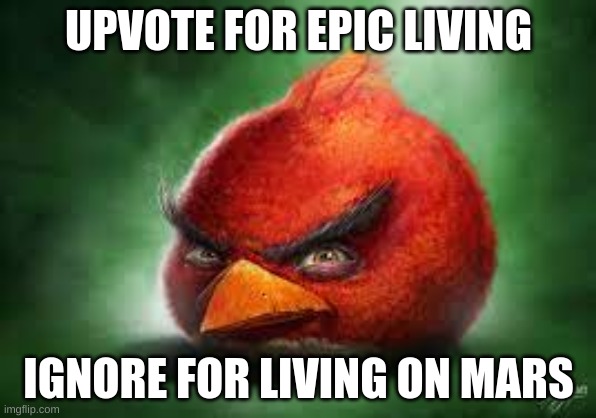 upvote | UPVOTE FOR EPIC LIVING; IGNORE FOR LIVING ON MARS | image tagged in realistic red angry birds | made w/ Imgflip meme maker