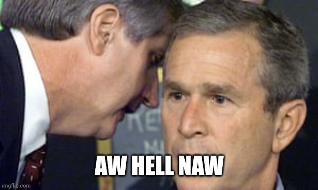 George Bush 9/11 | AW HELL NAW | image tagged in george bush 9/11 | made w/ Imgflip meme maker