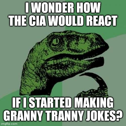 Philosoraptor | I WONDER HOW THE CIA WOULD REACT; IF I STARTED MAKING GRANNY TRANNY JOKES? | image tagged in memes,philosoraptor | made w/ Imgflip meme maker