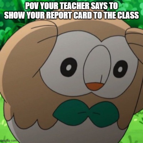 Rowlet Meme Template | POV YOUR TEACHER SAYS TO SHOW YOUR REPORT CARD TO THE CLASS | image tagged in rowlet meme template | made w/ Imgflip meme maker