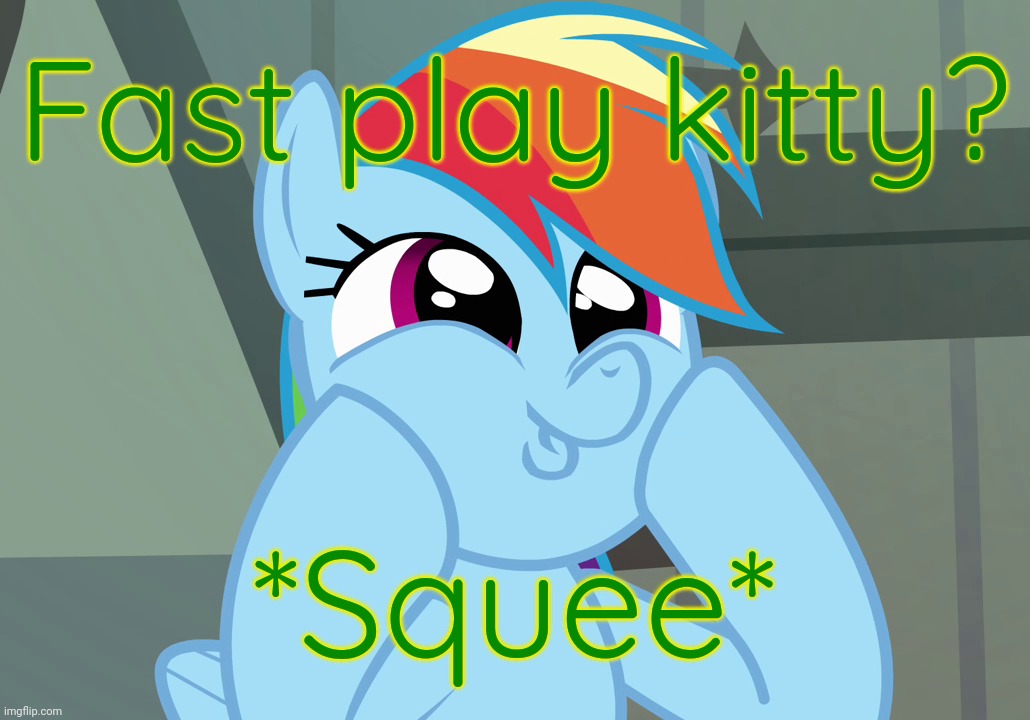 Dashface (MLP) | Fast play kitty? *Squee* | image tagged in dashface mlp | made w/ Imgflip meme maker