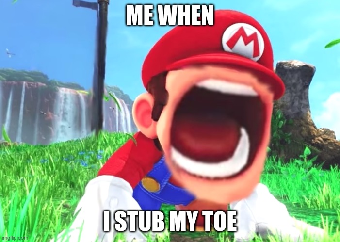 AGH! | ME WHEN; I STUB MY TOE | image tagged in mario screaming | made w/ Imgflip meme maker