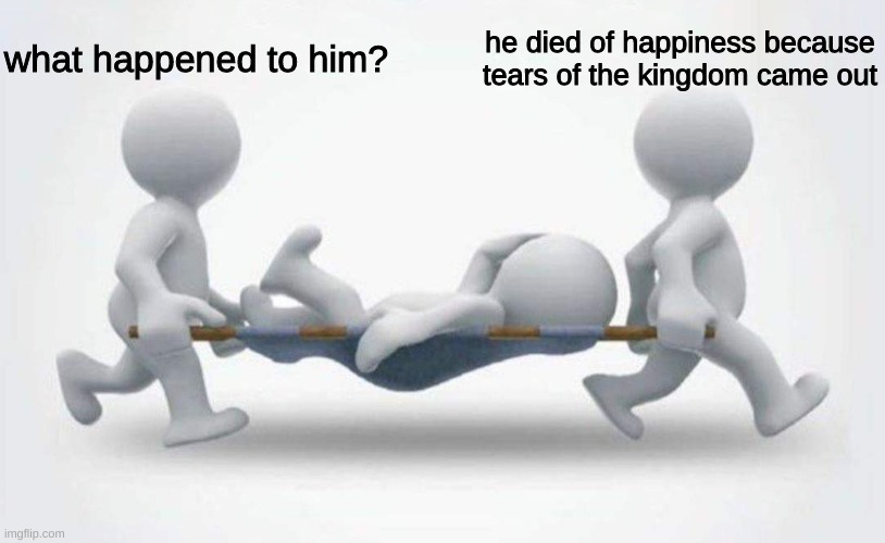 What happened to him? | what happened to him? he died of happiness because tears of the kingdom came out | image tagged in what happened to him | made w/ Imgflip meme maker