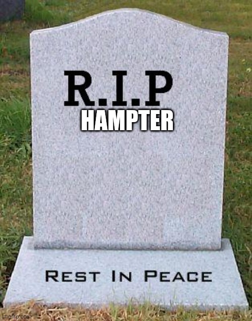 RIP headstone | HAMPTER | image tagged in rip headstone | made w/ Imgflip meme maker