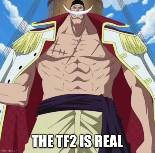 the one piece is real | THE TF2 IS REAL | image tagged in the one piece is real | made w/ Imgflip meme maker