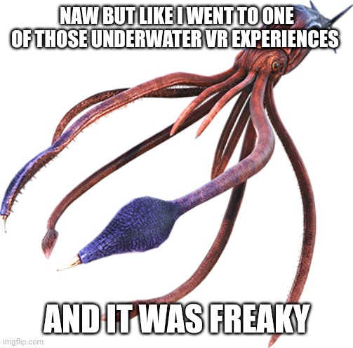 Tusoteuthis | NAW BUT LIKE I WENT TO ONE OF THOSE UNDERWATER VR EXPERIENCES; AND IT WAS FREAKY | image tagged in tusoteuthis | made w/ Imgflip meme maker