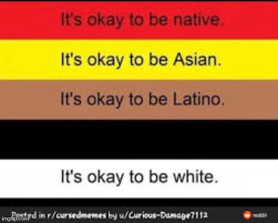 Nothing seems wrong here I just think this is wholesome for those aware of races right? | image tagged in racist,racism | made w/ Imgflip meme maker
