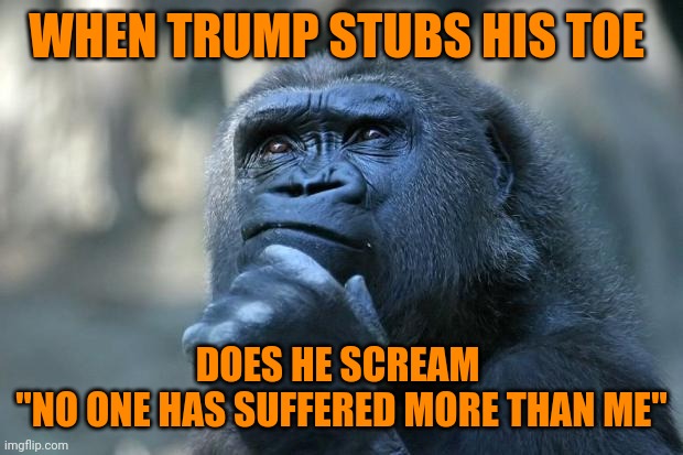 Why Trump suffers so | WHEN TRUMP STUBS HIS TOE DOES HE SCREAM 
"NO ONE HAS SUFFERED MORE THAN ME" | image tagged in deep thoughts,suffering,donald trump,maga,politics | made w/ Imgflip meme maker