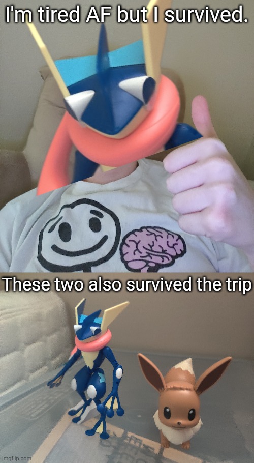 Censored face with Greninja bc why not | I'm tired AF but I survived. These two also survived the trip | made w/ Imgflip meme maker