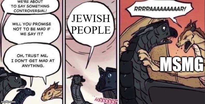 Thorn anger | JEWISH PEOPLE; MSMG | image tagged in thorn anger | made w/ Imgflip meme maker