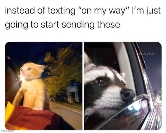image tagged in memes,funny | made w/ Imgflip meme maker