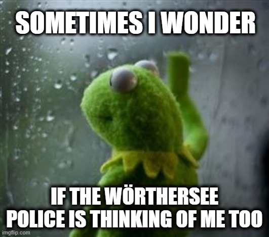 sometimes I wonder | SOMETIMES I WONDER; IF THE WÖRTHERSEE POLICE IS THINKING OF ME TOO | image tagged in sad kermit at window,golf gti treffen,reifnitz,wsee gti treffen,golf gti,worthersee | made w/ Imgflip meme maker