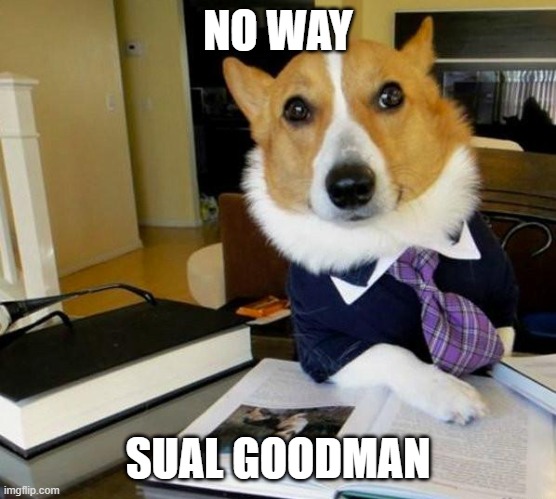 Lawyer Corgi Dog | NO WAY; SUAL GOODMAN | image tagged in lawyer corgi dog | made w/ Imgflip meme maker