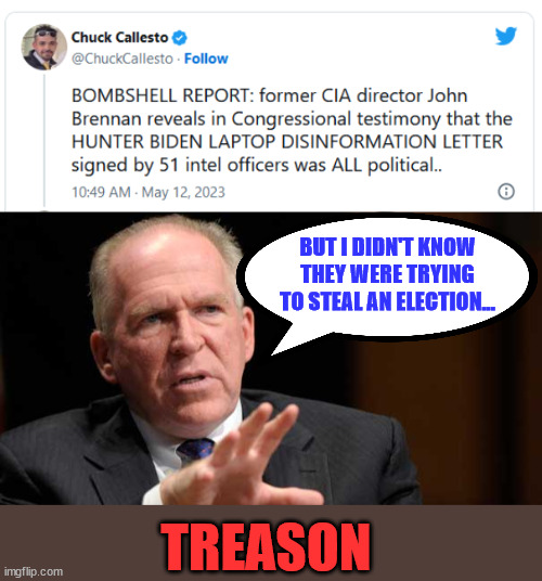 It's CYA time... | BUT I DIDN'T KNOW THEY WERE TRYING TO STEAL AN ELECTION... TREASON | image tagged in brennan,treason,election fraud | made w/ Imgflip meme maker