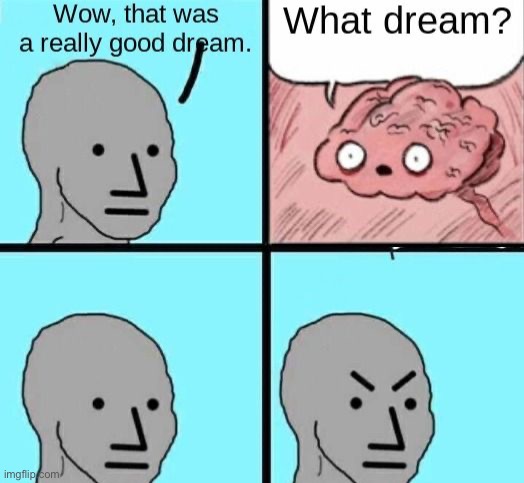 image tagged in memes | made w/ Imgflip meme maker