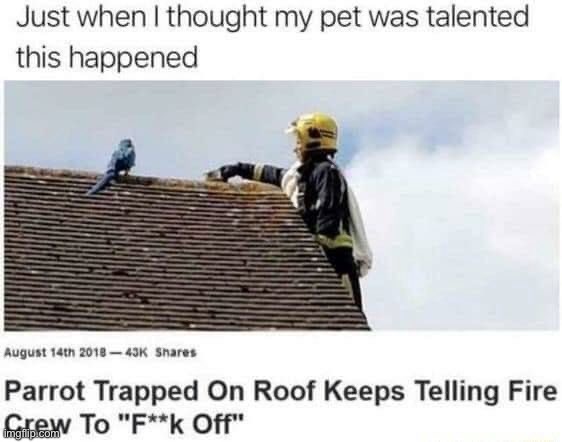 image tagged in memes,funny,repost | made w/ Imgflip meme maker