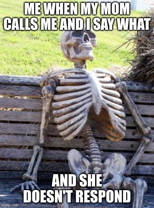 Waiting Skeleton | ME WHEN MY MOM CALLS ME AND I SAY WHAT; AND SHE DOESN'T RESPOND | image tagged in memes,waiting skeleton | made w/ Imgflip meme maker