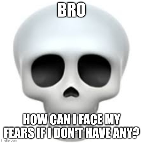 . | BRO; HOW CAN I FACE MY FEARS IF I DON'T HAVE ANY? | image tagged in skull | made w/ Imgflip meme maker