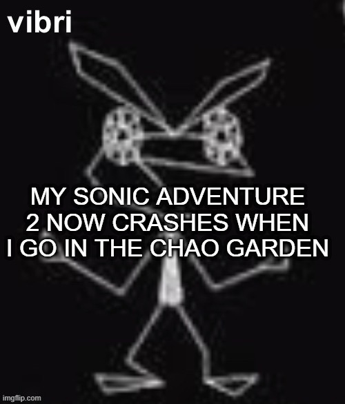 vibri | MY SONIC ADVENTURE 2 NOW CRASHES WHEN I GO IN THE CHAO GARDEN | image tagged in vibri | made w/ Imgflip meme maker