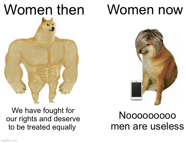 Not all women,im just talking about the ones like the karens and the toxic women on twitter | Women then; Women now; We have fought for our rights and deserve to be treated equally; Nooooooooo men are useless | image tagged in memes,buff doge vs cheems | made w/ Imgflip meme maker
