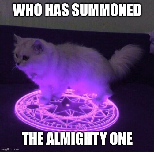 Who has summoned the almighty one | WHO HAS SUMMONED THE ALMIGHTY ONE | image tagged in who has summoned the almighty one | made w/ Imgflip meme maker