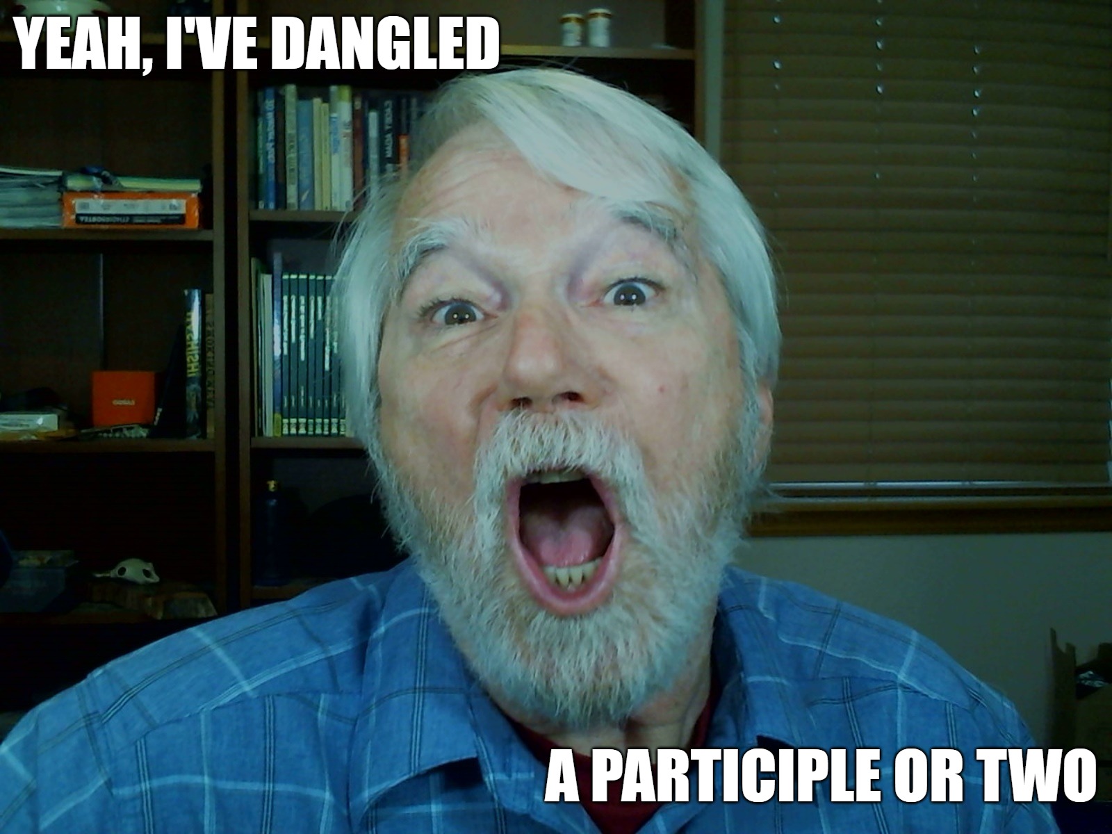 defiance | YEAH, I'VE DANGLED; A PARTICIPLE OR TWO | image tagged in defiance | made w/ Imgflip meme maker